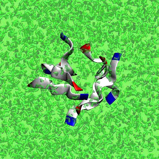 Bio