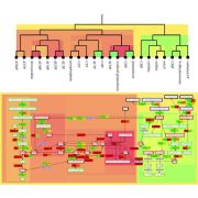 Complex Networks