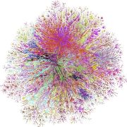 Complex Networks