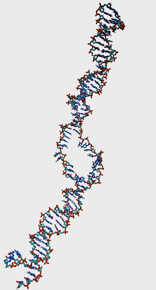 Multi-scale Modeling