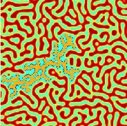 Multi-scale Modeling