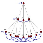 Networks