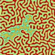 Soft Matter