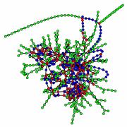 Complex Networks