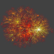 Networks