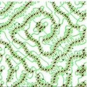 Soft Matter