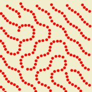 Soft Matter