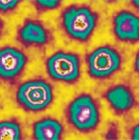 Quantum_2009